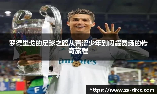 bsports官网入口